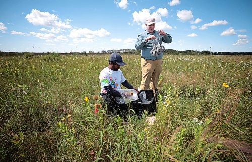 Ruth Bonneville /Free Press

Feature - Bee specialist 

Photos of Thilina Hettiarachchi, and his field research assistant, Reid Miller, setting up a elevated bee bowl sampling station in the field at the south station, at the Tall Grass Prairie Preserve Friday,

Thilina Hettiarachchi, a PhD candidate in Entomology at the University of MB. Is a specialist in bees and he's  discovered a new species of the insect.  

He uses macrophotography as a tool to analyze the species of insect he is studying in the field and is recognized internationally for his macrophotography.


I hope a photographer can be sent out too
Story by Martin Zeilig

Aug 30th, 2024