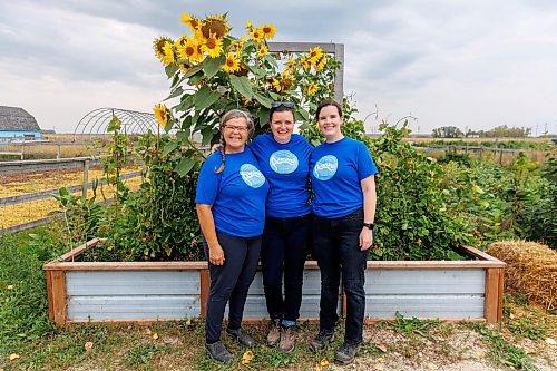 MIKE DEAL / FREE PRESS
Aurora Farm in St. Norbert is celebrating its 20th anniversary this weekend by inviting the public to visit and enjoy tours of the farm and various workshops.
Owner-managers (l-r) Louise May, Zona Bresch, and Aynsleigh Kerchak run the 160-acre farm&#x2019;s operations, which include producing 10,000 bars of goat milk soap a year; running a summer camp so youth can learn about farming; hosting a diversity of programs to facilitate the building of traditional agrarian skills; and offering baby goat yoga, which attracts thousands of visitors annually.
240913 - Friday, September 13, 2024.