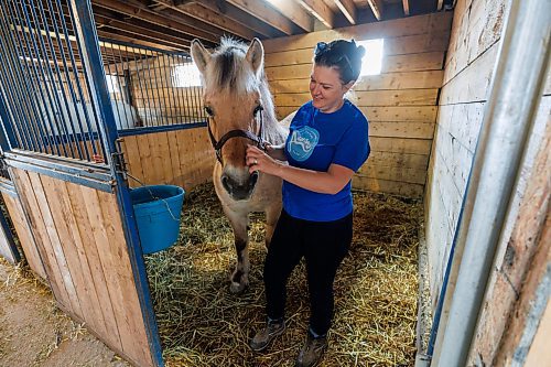 MIKE DEAL / FREE PRESS
Owner-manager Zona Bresch with Heather a Norwegian fjord horse. 
Aurora Farm in St. Norbert is celebrating its 20th anniversary this weekend by inviting the public to visit and enjoy tours of the farm and various workshops.
They run the 160-acre farm&#x2019;s operations, which include producing 10,000 bars of goat milk soap a year; running a summer camp so youth can learn about farming; hosting a diversity of programs to facilitate the building of traditional agrarian skills; and offering baby goat yoga, which attracts thousands of visitors annually.
240913 - Friday, September 13, 2024.