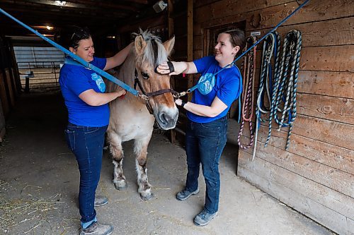 MIKE DEAL / FREE PRESS
Owner-managers (l-r) Zona Bresch, and Aynsleigh Kerchak with Heather a Norwegian fjord horse. 
Aurora Farm in St. Norbert is celebrating its 20th anniversary this weekend by inviting the public to visit and enjoy tours of the farm and various workshops.
They run the 160-acre farm&#x2019;s operations, which include producing 10,000 bars of goat milk soap a year; running a summer camp so youth can learn about farming; hosting a diversity of programs to facilitate the building of traditional agrarian skills; and offering baby goat yoga, which attracts thousands of visitors annually.
240913 - Friday, September 13, 2024.