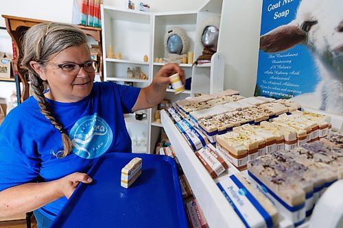 MIKE DEAL / FREE PRESS
Owner-manager Louise May restocks the shelves with some of the soaps in the shop. 
Aurora Farm in St. Norbert is celebrating its 20th anniversary this weekend by inviting the public to visit and enjoy tours of the farm and various workshops.
They run the 160-acre farm&#x2019;s operations, which include producing 10,000 bars of goat milk soap a year; running a summer camp so youth can learn about farming; hosting a diversity of programs to facilitate the building of traditional agrarian skills; and offering baby goat yoga, which attracts thousands of visitors annually.
240913 - Friday, September 13, 2024.