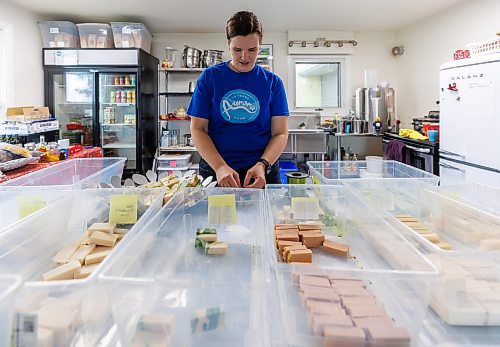 MIKE DEAL / FREE PRESS
Owner-manager Aynsleigh Kerchak works on packaging some of the soaps in the shop. 
Aurora Farm in St. Norbert is celebrating its 20th anniversary this weekend by inviting the public to visit and enjoy tours of the farm and various workshops.
They run the 160-acre farm&#x2019;s operations, which include producing 10,000 bars of goat milk soap a year; running a summer camp so youth can learn about farming; hosting a diversity of programs to facilitate the building of traditional agrarian skills; and offering baby goat yoga, which attracts thousands of visitors annually.
240913 - Friday, September 13, 2024.