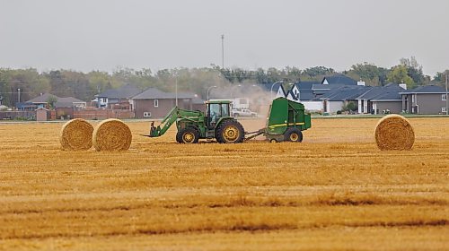 MIKE DEAL / FREE PRESS
A farmer bails hay on a field on the outskirts of Steinbach, Manitoba, Friday afternoon.
240913 - Friday, September 13, 2024.