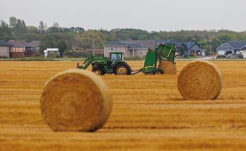 MIKE DEAL / FREE PRESS
A farmer bails hay on a field on the outskirts of Steinbach, Manitoba, Friday afternoon.
240913 - Friday, September 13, 2024.