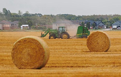 MIKE DEAL / FREE PRESS
A farmer bails hay on a field on the outskirts of Steinbach, Manitoba, Friday afternoon.
240913 - Friday, September 13, 2024.