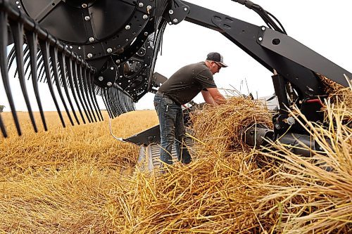 Craig Anderson clears oats from the header of his combine during harvest at Anderson Farms east of Souris on Monday afternoon. (Tim Smith/The Brandon Sun)