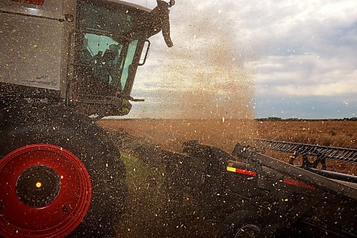 16092024
A combine spits out chaff while harvesting oats at Anderson Farms east of Souris on Monday afternoon. (Tim Smith/The Brandon Sun)