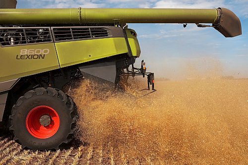 16092024
A combine spits out chaff while harvesting oats at Anderson Farms east of Souris on Monday afternoon. (Tim Smith/The Brandon Sun)