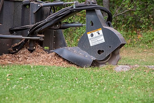 BROOK JONES / FREE PRESS
A stump grinding machine operated by City of Winnipeg worker Darryl Thiessen is pictured at St. Vital Park in Winnipeg, Man., Monday, Sept. 16, 2024.