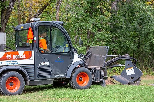 BROOK JONES / FREE PRESS
A stump grinding machine operated by City of Winnipeg worker Darryl Thiessen is pictured at St. Vital Park in Winnipeg, Man., Monday, Sept. 16, 2024. Pictured: City of Winnipeg worker Mike Eion, who was training.