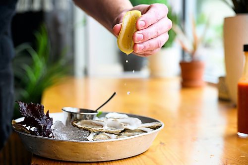 Mike Sudoma/Free Press
RAW Bars Aaron Crawford zests up an order of oysters with some freshly squeezed lemon juice At Kilter Brewing Friday afternoon
Sept 13, 2024
