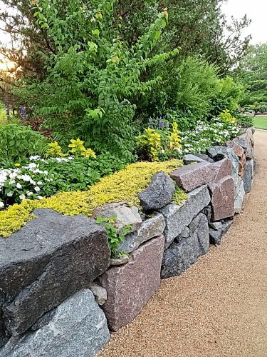 Colleen Zacharias / Winnipeg Free Press
Stacked stone walls at the gardens at Ball have an old world charm and an attractive plant selection.