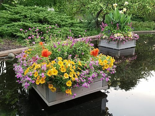 Colleen Zacharias / Winnipeg Free Press
These large pond boxes filled to the brim with flowering annuals are replicable on a smaller scale.