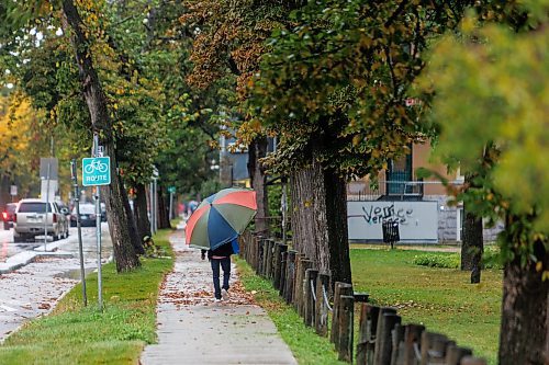 MIKE DEAL / FREE PRESS
A pedestrian walks along River Avenue with a very large umbrella Wednesday afternoon.
240918 - Wednesday, September 18, 2024.