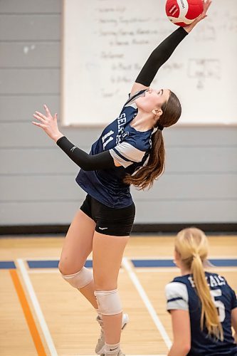 BROOK JONES / FREE PRESS
The Lord Selkirk Royals varsity girls volleyball team earned a victory over the visiting Mennonite Brethren Hawks in three straight sets (25-9, 25-11, 25-12-) in KPAC Tier 1 volleyball action at the Sellkirk Comp in Selkirk, Man., Wednesday, Sept. 18, 2024. Pictured: Selkirk Royals Victoria McPherson connects with the volleyball during third set action.