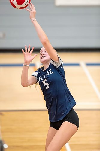 BROOK JONES / FREE PRESS
The Lord Selkirk Royals varsity girls volleyball team earned a victory over the visiting Mennonite Brethren Hawks in three straight sets (25-9, 25-11, 25-12-) in KPAC Tier 1 volleyball action at the Sellkirk Comp in Selkirk, Man., Wednesday, Sept. 18, 2024. Pictured: Selkirk Royals Paige Whiteside sets taps the olleyball during third set action.