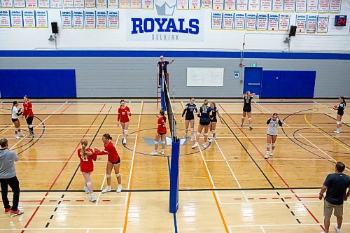 BROOK JONES / FREE PRESS
The Lord Selkirk Royals varsity girls volleyball team earned a victory over the visiting Mennonite Brethren Hawks in three straight sets (25-9, 25-11, 25-12-) in KPAC Tier 1 volleyball action at the Selkirk Comp in Selkirk, Man., Wednesday, Sept. 18, 2024. Pictured: Selkirk Royals Paige Whiteside prepares to serve the volleyball during third set action.