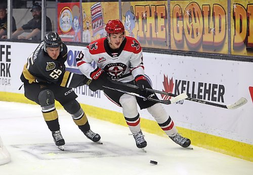 20092024
Rhett Ravndahl #55 of the Brandon Wheat Kings jostles for the puck with Lynden Lakovic #17 of the Moose Jaw Warriors during the first period of the Wheaties WHL home-opener at Westoba Place on Friday evening. 
(Tim Smith/The Brandon Sun)