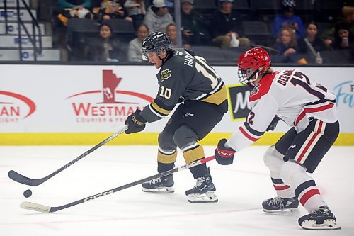 20092024
Caleb Hadland #10 of the Brandon Wheat Kings tries to keep the puck ahead of William Degagne #12 of the Moose Jaw Warriors during the first period of the Wheaties WHL home-opener at Westoba Place on Friday evening. 
(Tim Smith/The Brandon Sun)