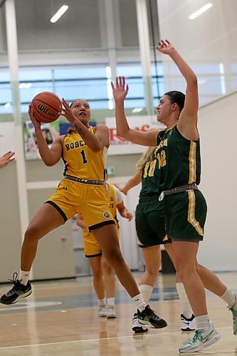 The Brandon University Bobcats added import guard Amaya McLeod, who played two years of NCAA Division II ball at Stanislaus State in California. (Thomas Friesen/The Brandon Sun)