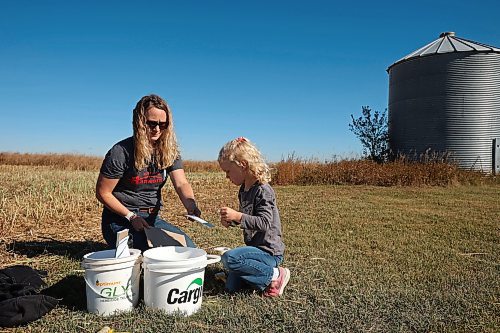 Farmer Laura Cowling and her five-year-old daughter, Rowyn, check for green seeds in samples of canola during Acres for Hamiota on Tuesday. (Tim Smith/The Brandon Sun)