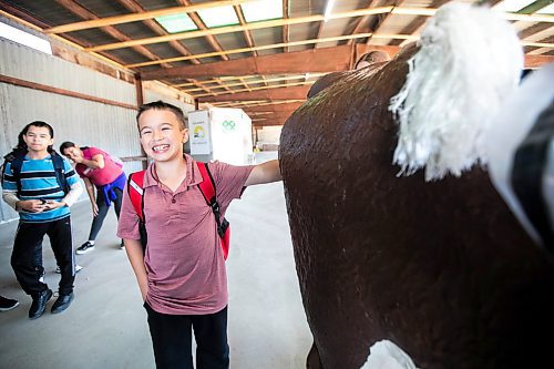 MIKAELA MACKENZIE / WINNIPEG FREE PRESS
	
Grade six student L.J. Nagorski puts his hand into a cow birthing simulator at the beef station during the Amazing Agriculture Adventure (a four-day event immersing Manitoba students into the world of agriculture) at the Bruce D. Campbell Farm &amp; Food Discovery Centre on Tuesday, Sept. 24, 2024. 

For Aaron Epp story.
Winnipeg Free Press 2024