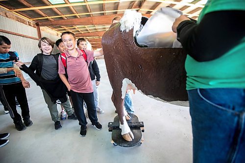 MIKAELA MACKENZIE / WINNIPEG FREE PRESS
	
Grade six student L.J. Nagorski puts his hand into a cow birthing simulator at the beef station during the Amazing Agriculture Adventure (a four-day event immersing Manitoba students into the world of agriculture) at the Bruce D. Campbell Farm &amp; Food Discovery Centre on Tuesday, Sept. 24, 2024. 

For Aaron Epp story.
Winnipeg Free Press 2024