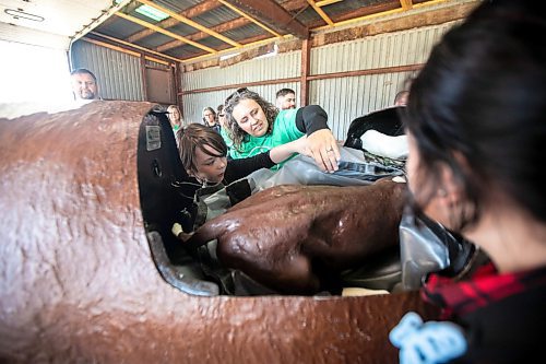 MIKAELA MACKENZIE / WINNIPEG FREE PRESS
	
Melissa Atchison shows grade six student Maverick Bialowas a cow birthing simulator at the beef station during the Amazing Agriculture Adventure (a four-day event immersing Manitoba students into the world of agriculture) at the Bruce D. Campbell Farm &amp; Food Discovery Centre on Tuesday, Sept. 24, 2024. 

For Aaron Epp story.
Winnipeg Free Press 2024