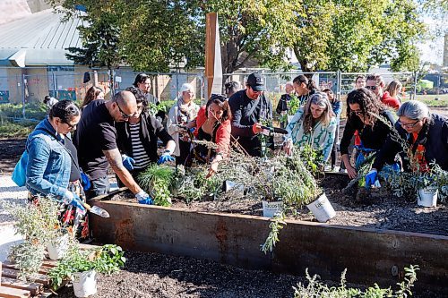 MIKE DEAL / FREE PRESS
Partners and community members honour the new outdoor gathering space at Circle of Life Thunderbird House by planting medicine gardens.
240924 - Tuesday, September 24, 2024.