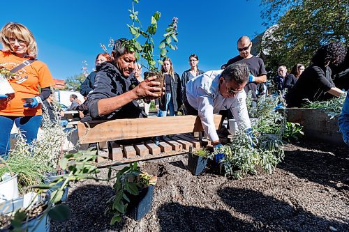 MIKE DEAL / FREE PRESS
Community member, Alan (left), and Mike Pierre (right), Executive Director, Indigenous Services, MB Justice, work together putting plants into the medicine garden.
Partners and community members honour the new outdoor gathering space at Circle of Life Thunderbird House by planting medicine gardens.
240924 - Tuesday, September 24, 2024.