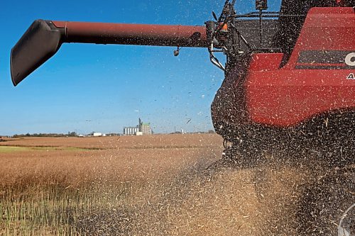 05092024
A combine driven by Angela Charlton spits out chaff while harvesting canola during the fourth annual Acres for Hamiota community harvest west of Hamiota on a sunny Tuesday. Acres for Hamiota raises money for community projects and organizations and this year all the machinery for the harvest was operated by women to highlight the important role women play in agriculture. The harvest was preceded by a picnic lunch.
Tim Smith/The Brandon Sun) 