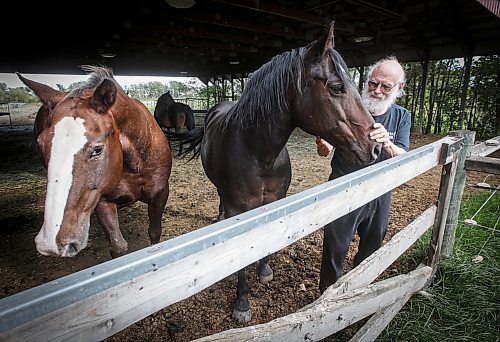 JOHN WOODS / FREE PRESS
Jim Shapiro, goose behaviour expert, is photographed on his farm in Winnipeg Tuesday, September 24, 2024. Shapiro&#x2019;s short documentary film &#x2018;Modern Goose&#x2019; explores how geese have adapted to urban environments.

Reporter: julia-simone