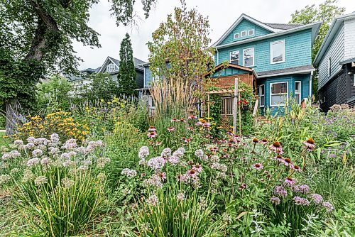 Shannon Bahuad / Winnipeg Free Press
 An extensively planted front yard and boulevard garden gives colourful curb appeal to this 113-year old house on Fleet Avenue. 