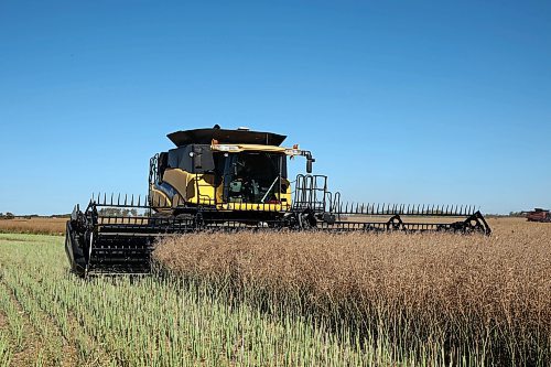 One of four combines works to harvest 125 acres of canola near Oakden during the fourth annual Acres for Hamiota community harvest west of Hamiota recently. Acres for Hamiota raises money for community projects and organizations and this year all the machinery for the harvest was operated by women to highlight the important role women play in agriculture. (Photos by Tim Smith/The Brandon Sun)