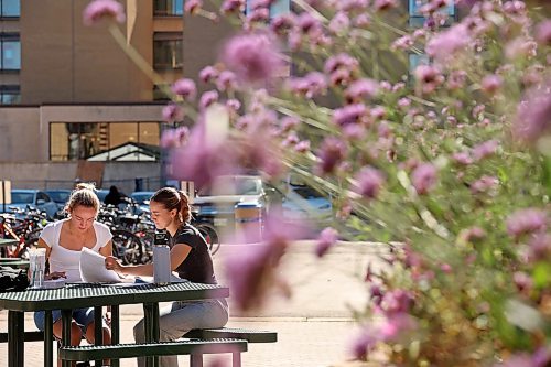 25092024
Second-year psychology students Madeline Johnson and Abbi Smith study in the courtyard at Brandon University on a beautiful late September Wednesday.
(Tim Smith/The Brandon Sun)