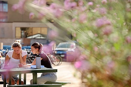 25092024
Second-year psychology students Madeline Johnson and Abbi Smith study in the courtyard at Brandon University on a beautiful late September Wednesday.
(Tim Smith/The Brandon Sun)