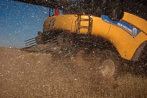 05092024
One of four combines working to harvest 125 acres of canola near Oakden, Manitoba spits out chaff during the fourth annual Acres for Hamiota community harvest west of Hamiota on a sunny Tuesday. Acres for Hamiota raises money for community projects and organizations and this year all the machinery for the harvest was operated by women to highlight the important role women play in agriculture. The harvest was preceded by a picnic lunch.
Tim Smith/The Brandon Sun)