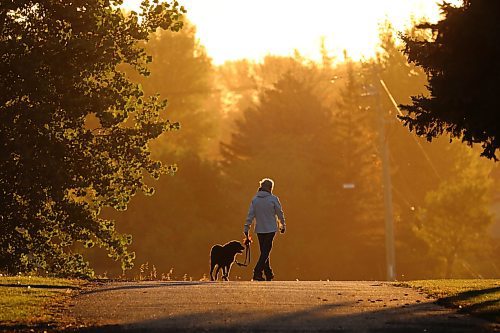 A woman walks a dog through the Brandon Municipal Cemetery at sunrise on a warm Thursday morning.n (Tim Smith/The Brandon Sun) 