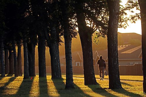 A pedestrian walks along the pathway beside the Brandon Municipal Cemetery. (Tim Smith/The Brandon Sun) 