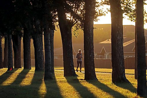 26092024
A jogger makes their way along the pathway beside the Brandon Municipal Cemetery at sunrise on a warm Thursday morning. 
Tim Smith/The Brandon Sun) 