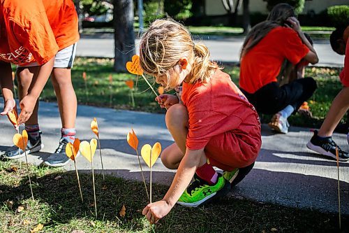 MIKAELA MACKENZIE / FREE PRESS
	
Grade two student Ivy places orange hearts along the walkway project at cole Van Walleghem School Thursday, Sept. 26, 2024. 

For Maggie story.
Winnipeg Free Press 2024