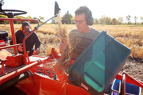 26092024
Bryan Graham and Danny Hausermann, research assistants with the barley breeding program at the Brandon Research and Development Centre, harvest barley selections using a plot combine on Thursday as part of ongoing research. 
(Tim Smith/The Brandon Sun) 