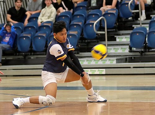 Brandon University Bobcats libero Michael Flor, shown digging a ball against the Queen's Gaels in BU's men's volleyball pre-season tournament, is entering his final Canada West season. (Thomas Friesen/The Brandon Sun)