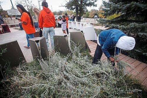 JOHN WOODS / FREE PRESS
A woman gathers medicine as people gather for National Day of Truth And Reconciliation or Orange Shirt Day in Manitoba at an Assiniboia Residential School memorial in Theodore Niizhotay Fontaine Park in Winnipeg Monday, September 30, 2024.  

Reporter: tyler