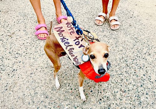 GORD MACKINTOSH / FREE PRESS
Gord&#x2019;s vote went to year-old dog Moxie.