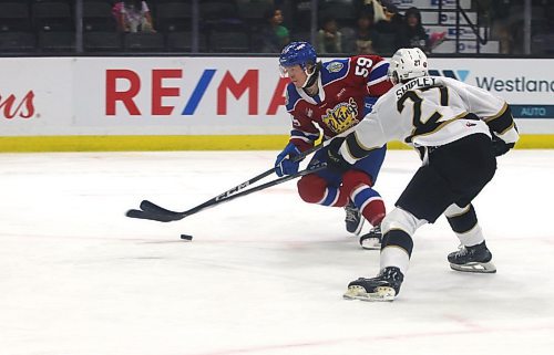 Edmonton Oil Kings forward Gracyn Sawchyn (59) breaks in on the Brandon Wheat Kings net as defenceman Luke Shipley (27) tries to impede his progress during Western Hockey League action at Westoba Place on Friday. (Perry Bergson/The Brandon Sun)
Oct. 4, 2024