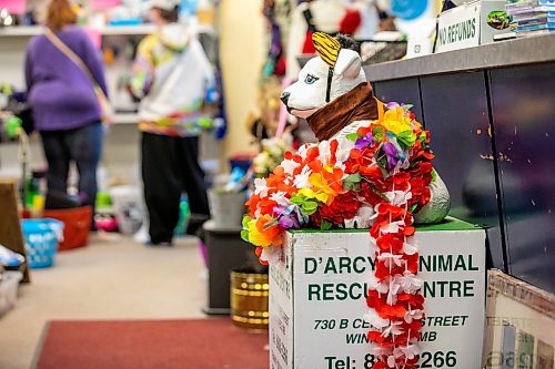 MIKAELA MACKENZIE / FREE PRESS
	
D'Arcy's ARC Thrift Store on Friday, Oct. 4, 2024. D'Arcy's ARC Thrift Store has decided not to renew its lease after 16 years of business.

For Chris story.
Winnipeg Free Press 2024