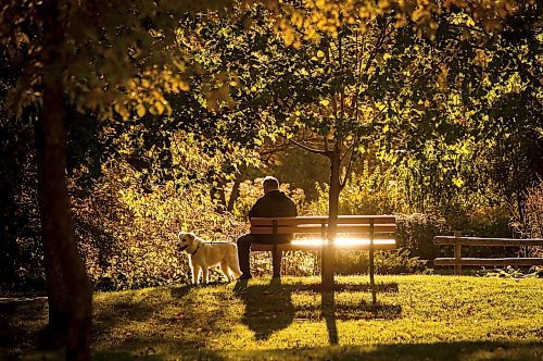 JOHN WOODS / WINNIPEG FREE PRESS
A person and their dog enjoy the warm weather and fall colours at Kildonan Park in Winnipeg Tuesday, October 8, 2024. 

Reporter: s/u