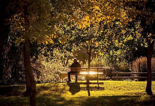 JOHN WOODS / WINNIPEG FREE PRESS
A person and their dog enjoy the warm weather and fall colours at Kildonan Park in Winnipeg Tuesday, October 8, 2024. 

Reporter: s/u