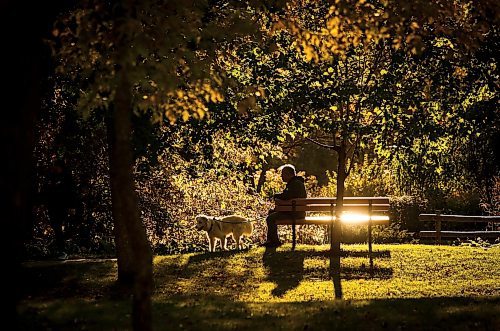 JOHN WOODS / WINNIPEG FREE PRESS
A person and their dog enjoy the warm weather and fall colours at Kildonan Park in Winnipeg Tuesday, October 8, 2024. 

Reporter: s/u